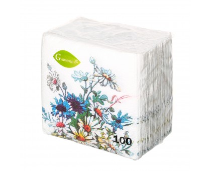 Бумажные салфетки Garmonia, 24*24см, 100шт, в ассортименте